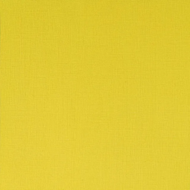 Winsor & Newton Professional Acrylic Cadmium Lemon acrílico 60 ml frío