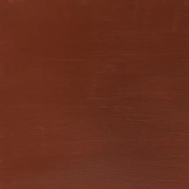 Winsor & Newton Galeria Burnt Sienna Opaque pintura acrílica 60 ml pardo