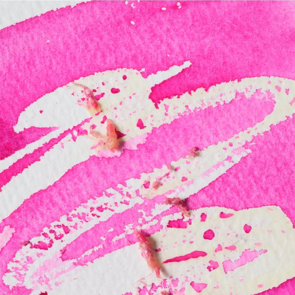 Winsor & Newton Art Masking Fluid líquido enmascarador tintado
