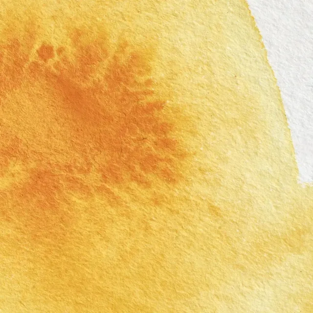 Winsor & Newton Professional Cadmium Yellow Deep acuarela genuino