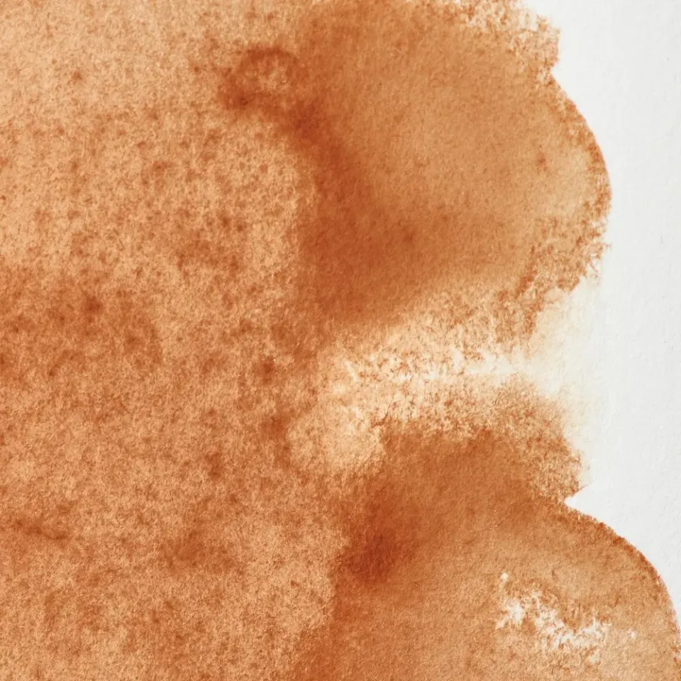 Winsor & Newton Professional Brown Ochre acuarela marrón tierra