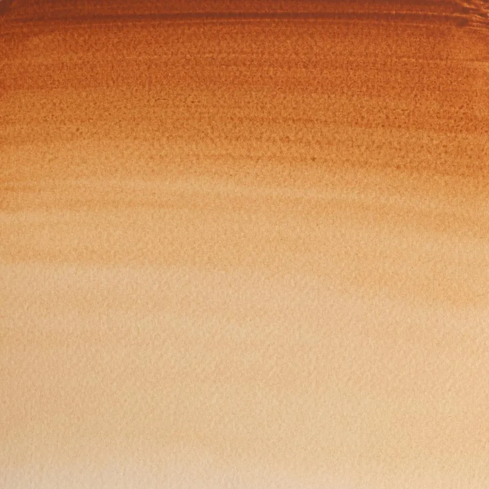 Winsor & Newton Professional Brown Ochre acuarela marrón tierra