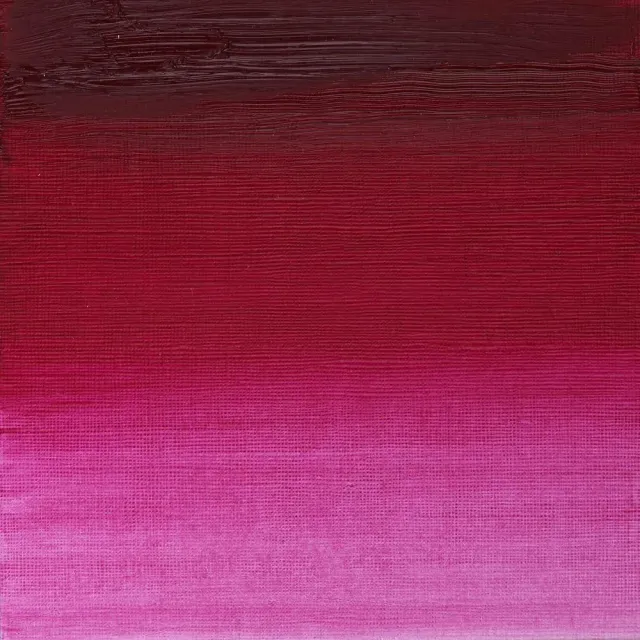 Winsor & Newton Artists' Oil Colour Permanent Magenta óleo 37 ml intenso
