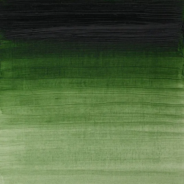 Winsor & Newton Artists' Oil Colour Prussian Green pintura al óleo 37 ml verde