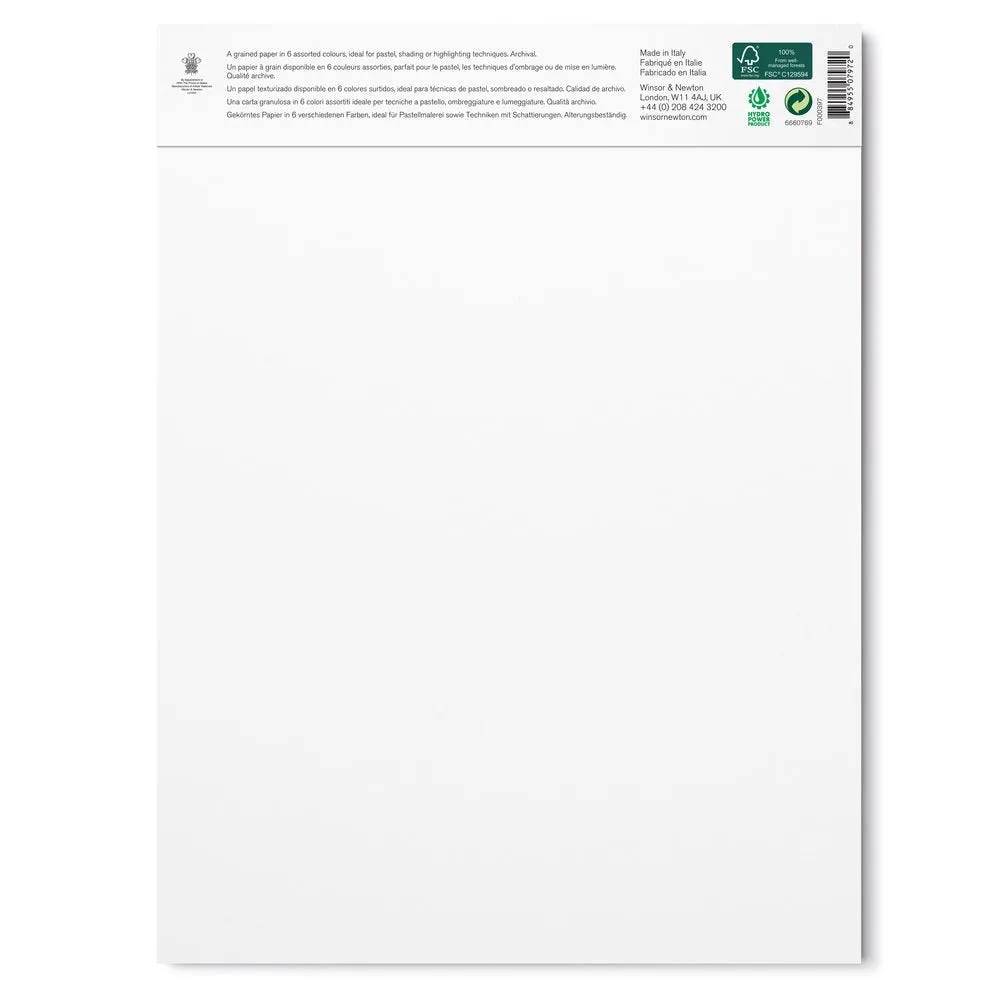 Winsor & Newton Pastel Paper tonos tierra 24 hojas