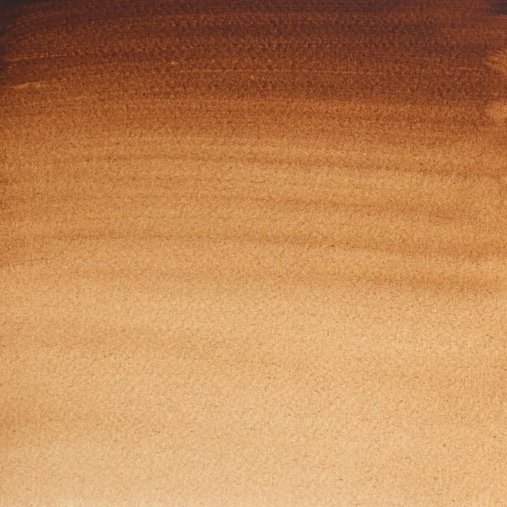Winsor & Newton Professional Burnt Umber acuarela pardo oscuro
